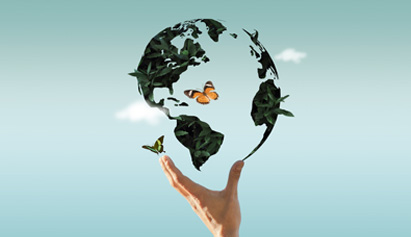 Environmental & Sustainability Management
