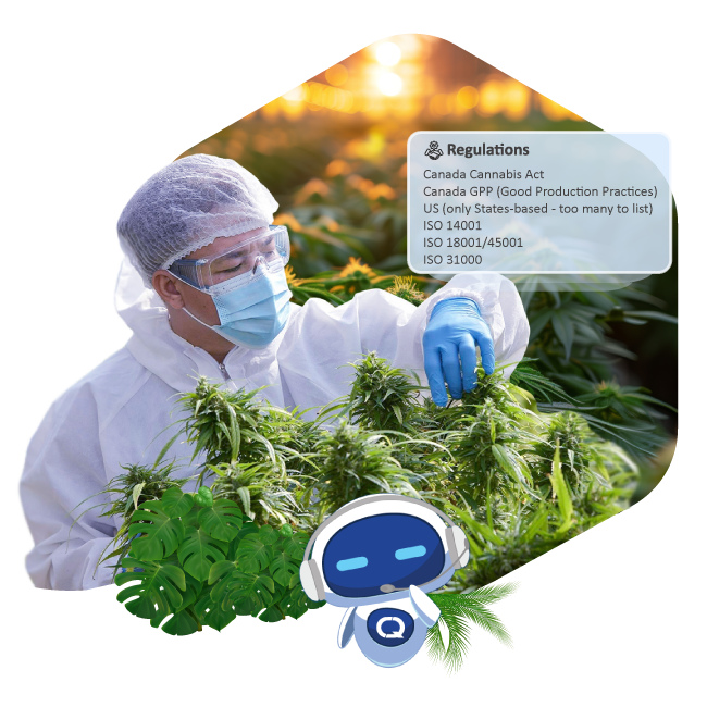 Cannabisindustrie