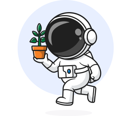 Environment and Sustainability