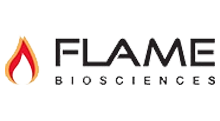 flame logo