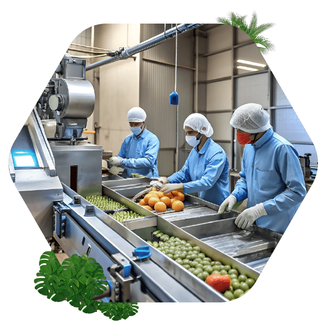 Qualität und Sicherheit Essen und Getränke