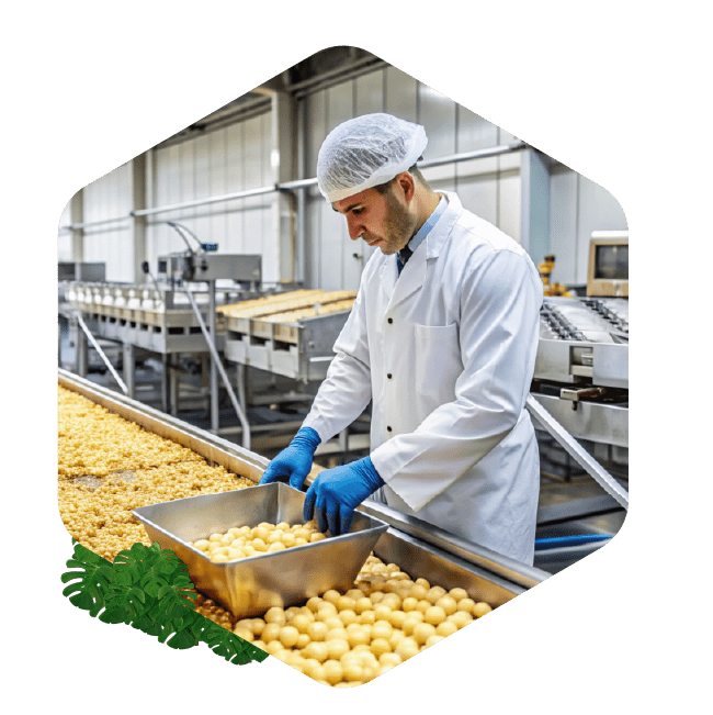 Regulaciones en la industria de alimentos y bebidas