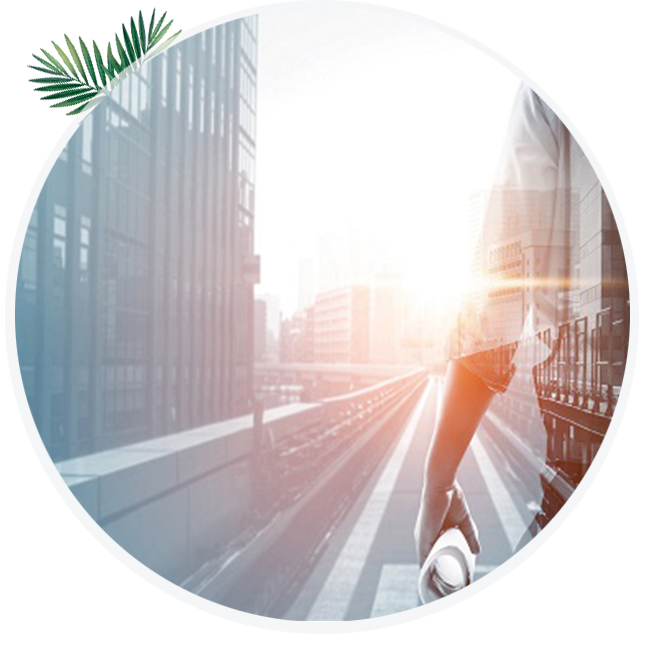 Seminario Web sobre la Transformación EHS